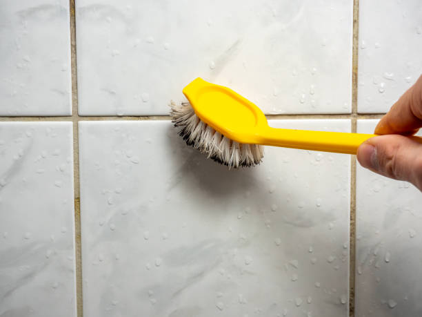Best Industrial Mold Remediation in Saddle River, NJ