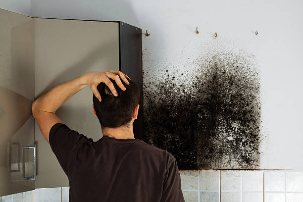 Best Bathroom Mold Remediation in Saddle River, NJ